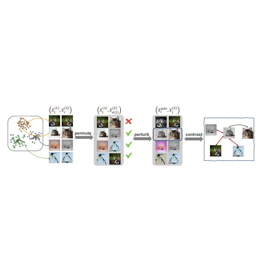 Adversarial Contrastive Learning by Permuting Cluster Assignments